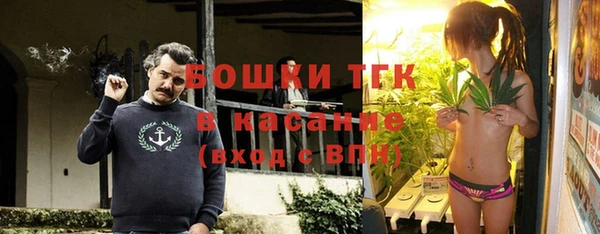 ПСИЛОЦИБИНОВЫЕ ГРИБЫ Аркадак